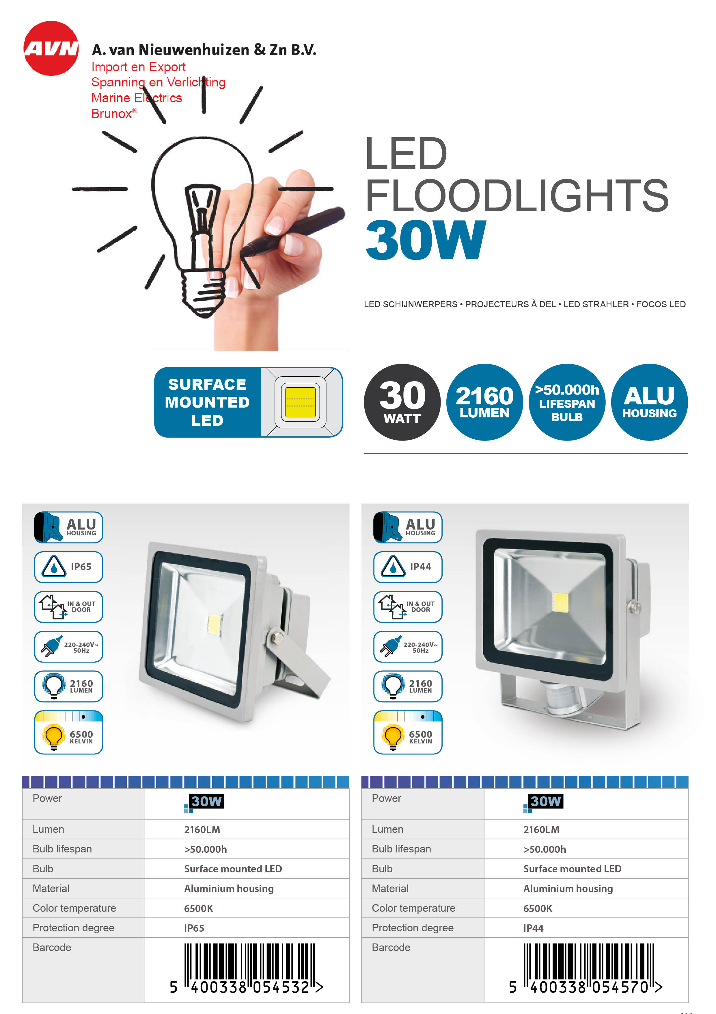 LED Floodlight 30W (1)